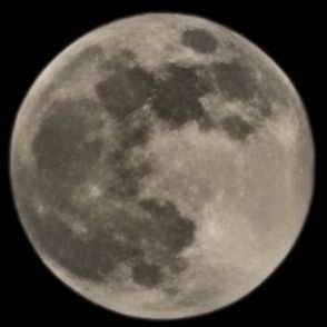 VYlnUfpXBs49274's profile picture. 