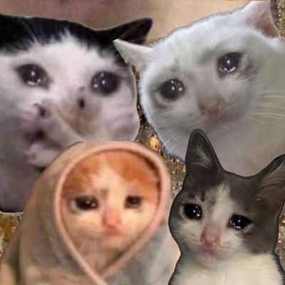 vvixxian's profile picture. 