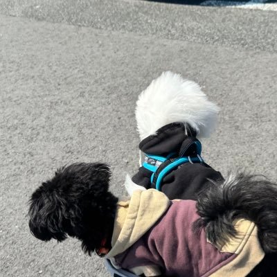 RUNAさんのプロフィール画像