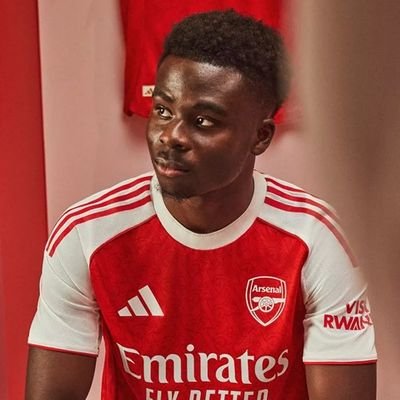 Economist, Financial Analyst, Political Activist and Arsenal London fan