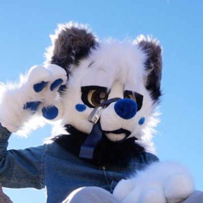 @av8ight