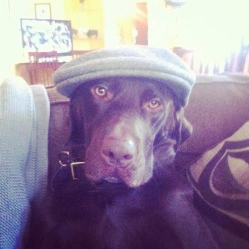 dnmack913's profile picture. 