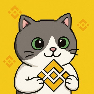 chen336699369's profile picture. 