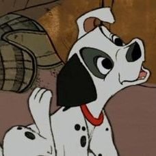 project_ybtfc's profile picture. Pseudonyms: Wiz, Letters, Project |
17 |
fandoms: Tally Hall, The Wombats, Bluey, Danganronpa, Five Nights At Freddy's and Rocky Horror |
Tallytuber (😭) |
∞