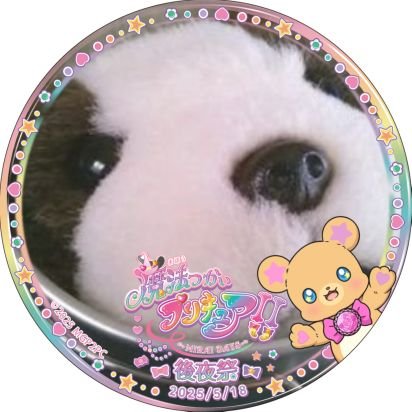 あつあつさんのプロフィール画像