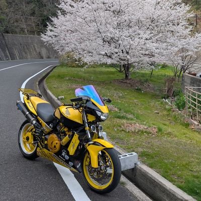 爺ちゃんになったな…後どれぐら走れるかな?…
HONDAバイクなら50から1000まで‼スノーモービル❗水上バイク❗フリモト♥スリル大好き♥
無言でのフォローすみませんが、宜しくお願いします。
20万km越えちったから次は30万km行ける所まで行く(๑•̀ㅂ•́)و✧
insta ma.sa461も宜しくお願いします