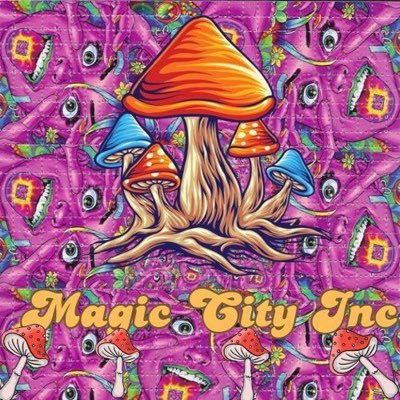 magiccityinc's profile picture. From micro to macro—we keep it clean, strong, and silent. You know what to do.