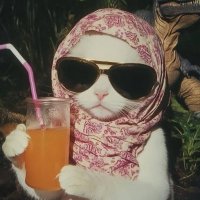 yapyapyap (@xtrayap) 's Twitter Profile