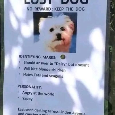 rollings1111's profile picture. 