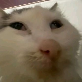 Sidebarlocker's profile picture. main acc: @Sidebarcount7 | multi-fandom | MDNI | mainly fan art , wee bit of ocs🤏