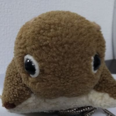 ももちさんのプロフィール画像