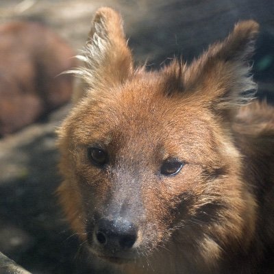 あるぴぬすさんのプロフィール画像