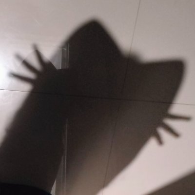 zephyrn_zip's profile picture. 23 | Moonchild | 🇵🇭 | RN2025