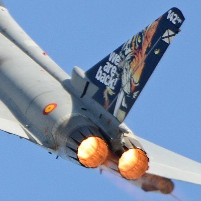 Rober_A976's profile picture. 