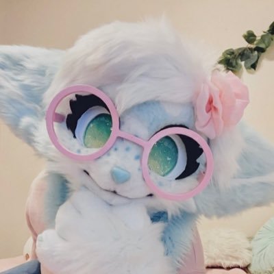 ✨🩵🎀Harlow🎀🩵✨さんのプロフィール画像
