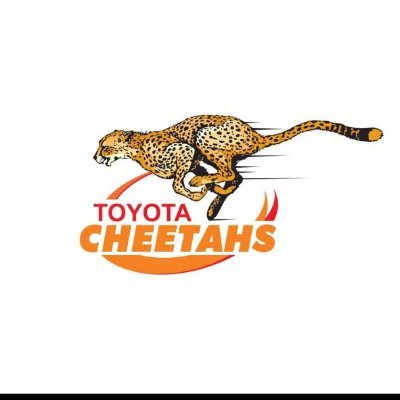 Toyota Cheetahs Profile