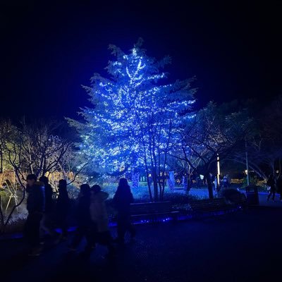 book_happy1's profile picture. 