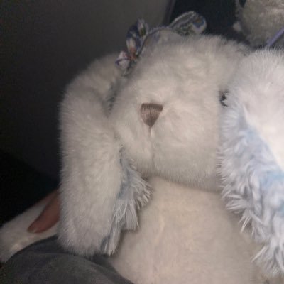 2989HfzFBiztpkr's profile picture. She/Her 20+