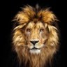 sudimicl's profile picture. 🦁😺💪🇦🇷❤️🇨🇱 Anti K, anti Comunistas y similares. Bloqueo zurdos.