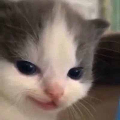 bishpattyburger's profile picture. 