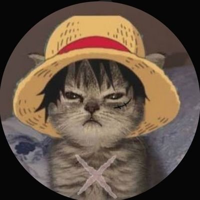 AmaranteDa24568's profile picture. 