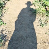 ben (@benjaminbe25933) 's Twitter Profile