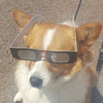 LA_WY_Alibi's profile picture. Father, Bitcoin pleb, geologist fiat miner. Bitcoin fixes it.

Climate change is a fiat science scam, trace gasses don't drive the climate.