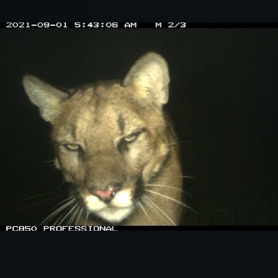 solking777's profile picture. 