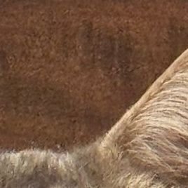 javiperaltap04's profile picture. 