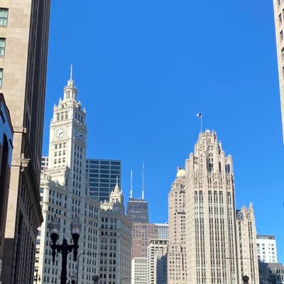 Meduc123's profile picture. 