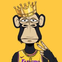 TeemeySOL (@teemeey_sol) 's Twitter Profile