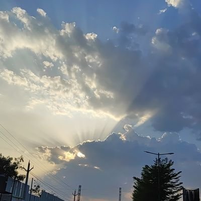 Sarthak5101's profile picture. 