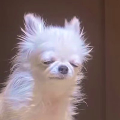 HamiRirsita's profile picture. 早慶26🛒｡･*･:´-🐰⸝꙳*