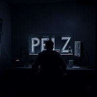 0xPelz (@pelz_ade) 's Twitter Profile