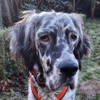 Ben (@ben979174646151) Twitter profile photo