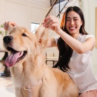 Goldieee จอมแก่น (@_nobodym) 's Twitter Profile