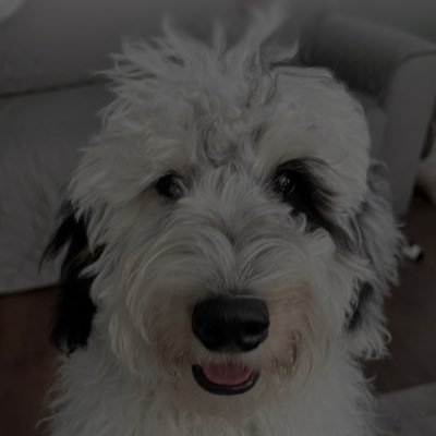 getjirobourdain's profile picture. 