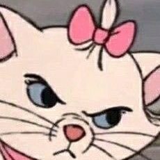 stakuzup's profile picture. fan account. she/her.