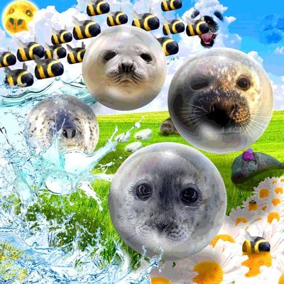 aushiaaaaa's profile picture. murder is ok