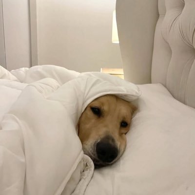 aacpkf's profile picture. 