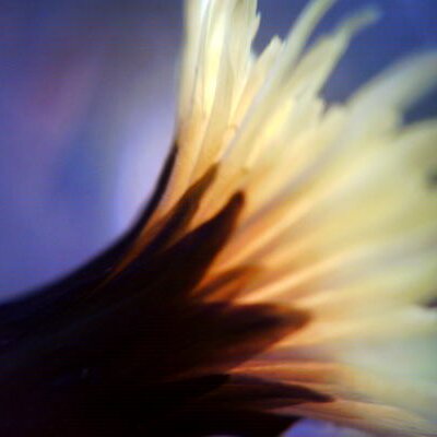 究極の美◼️蔵からめちゃくちゃオーラの出てる謎の紋様がある抹茶茶碗が出てきました。 究極の美◼️蔵からめちゃくちゃオーラの出てる謎の紋様がある