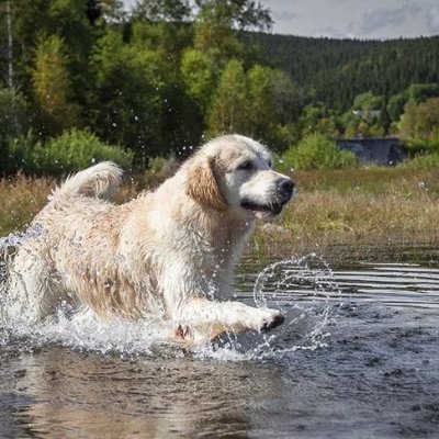 tastenatureg's profile picture. Supporting climate ventures | Dad | Nature & Food Enthusiast 🌱