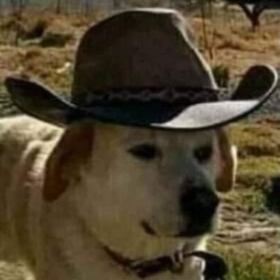 cscbullcity's profile picture. US Soccer, Carolina Hurricanes and Teeth are my interests