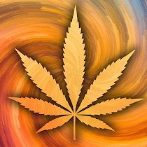 Supporting common sense cannabis reform in Pennsylvania.