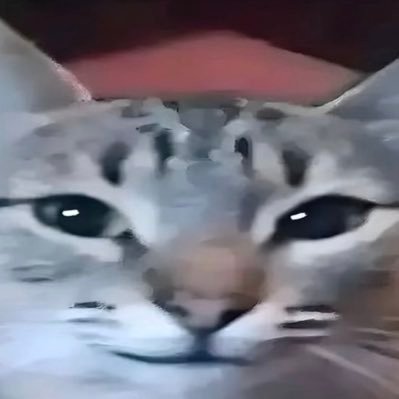 atole97's profile picture. I'm not here right now.