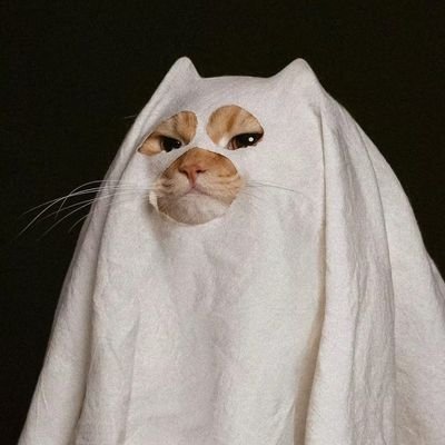 gokamicha's profile picture. Nope