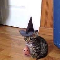 SrLucas360Br's profile picture. Faço nada da vida, mas gosto de Minecraft