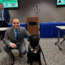 Vanessa Harding - @VanessaHarf_ - Twitter