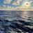 hess_goras's profile image