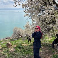 Büşra (@busranurtascii) 's Twitter Profile